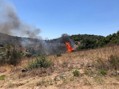 L'incendio odierno in zona Carta Loi a Nuoro
