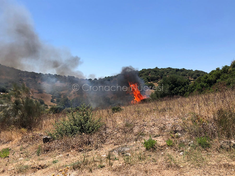 Ancora fuoco a Nuoro: ha ripreso a bruciare la zona Carta Loi