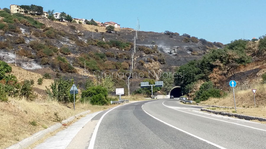 La Sardegna continua a bruciare. Oggi 16 incendi a Nuoro, Fonni, Sassari, Castelsardo e Tula