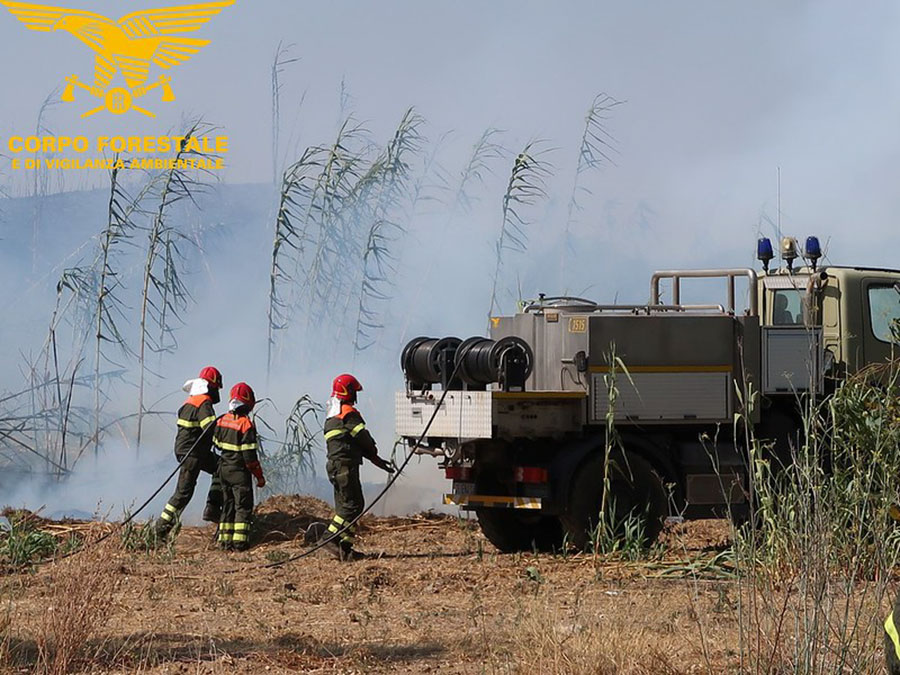 Piromani scatenati: sono 18 i roghi appiccati oggi in Sardegna