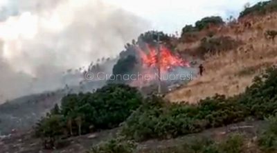 Un volontario tenta di arginare le fiamme foto Cronache Nuoresi)
