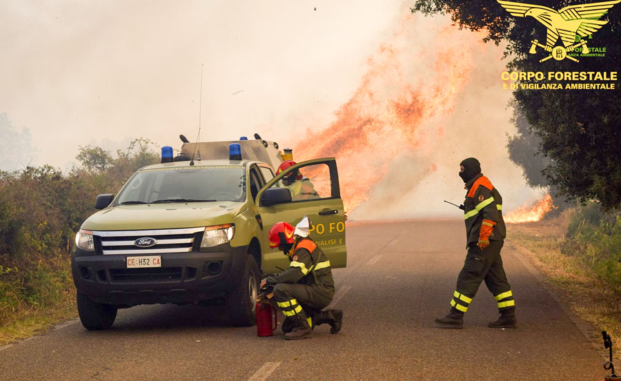 Dopo 18 anni la Regione torna ad assumere nuovi agenti forestali (Tutti i dettagli sul Buras)
