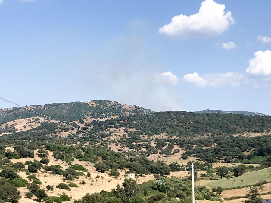 Fuoco sulla SS 389: autobotti, elicottero e Super puma in azione al bivio di Orani