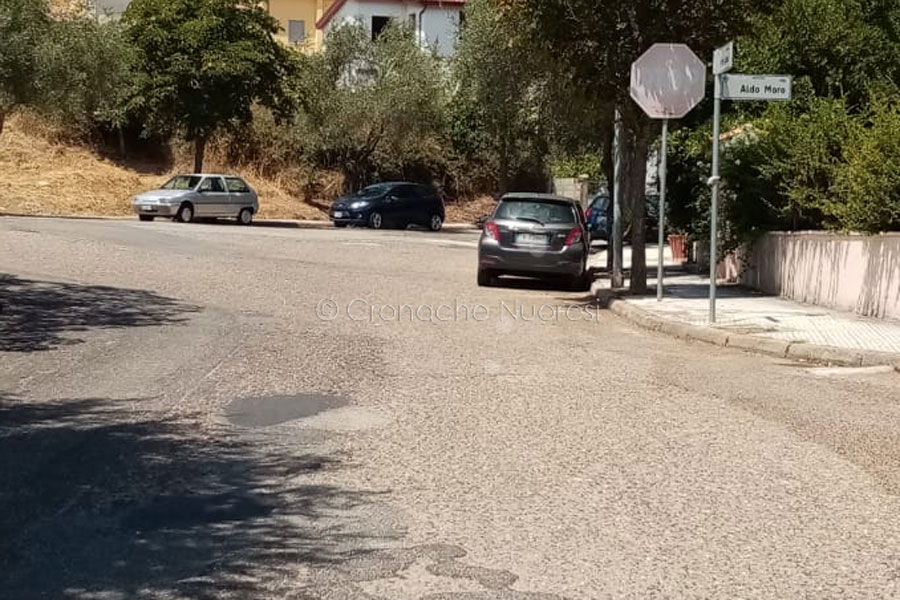 Sterpaglie a Città Giardino. L’assessore Piras: “stiamo provvedendo a ripulire la città”