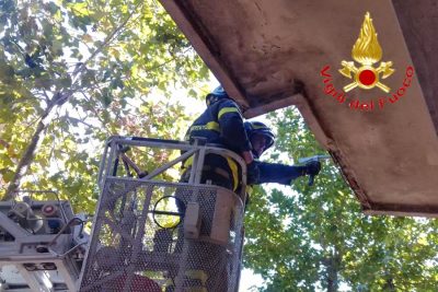 I VVFF sul mettono in sicurezza il cornicione