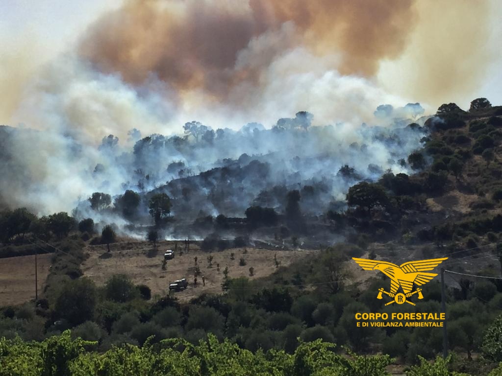 Incendio a Oniferi: in azione 3 elicotteri e il Canadair