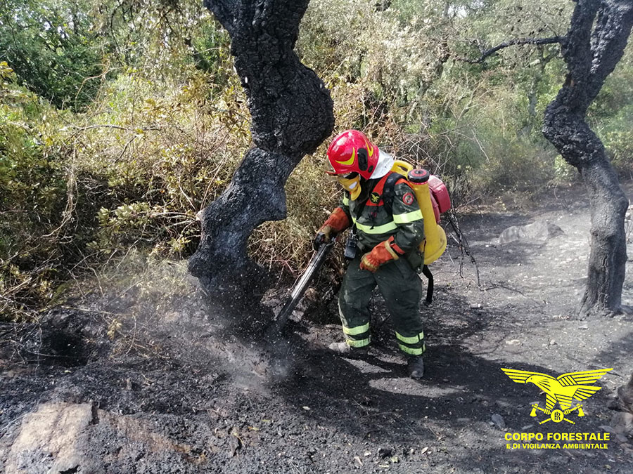 Sardegna in fiamme: non si placa l’ansia distruttiva dei piromani a Bottidda