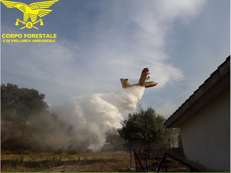 Anche oggi piromani scatenati in Sardegna: venti gli incendi di cui nove imponenti