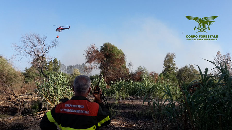 Sardegna in fiamme. Incendi a Oniferi e Paulilatino: in azione elicotteri e canadair