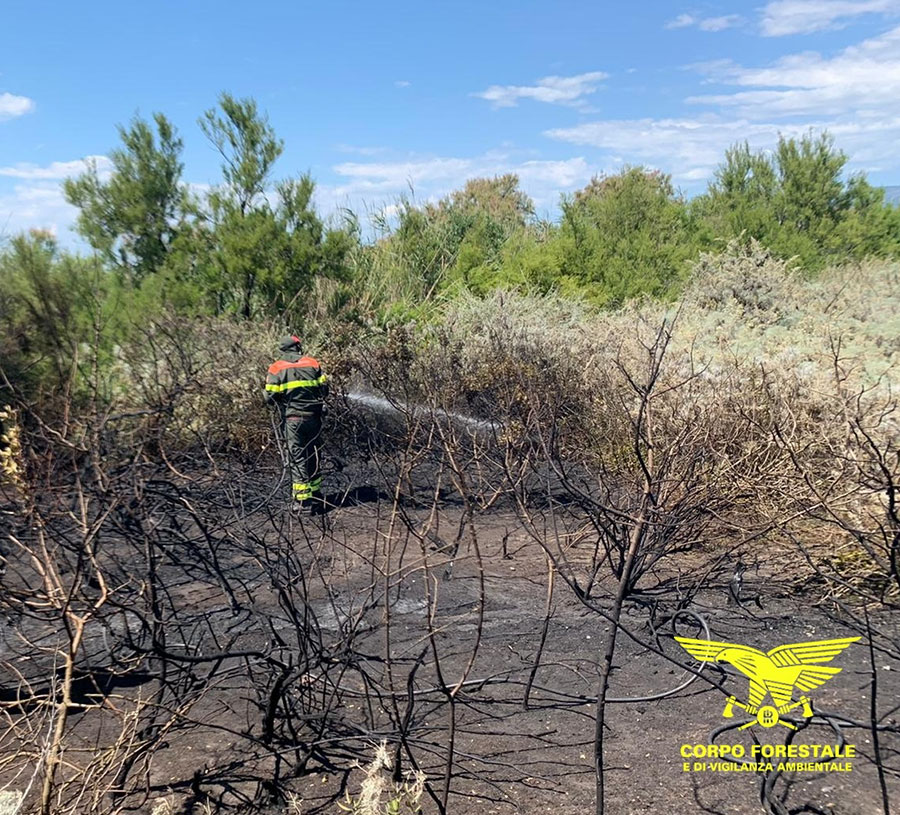 Sardegna in fiamme: bruciano le campagne di Arzana