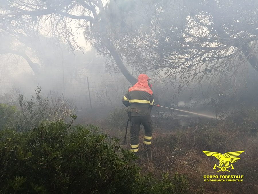 Brucia ancora la Sardegna. In azione Canadair e elicotteri in diverse zone dell’Isola