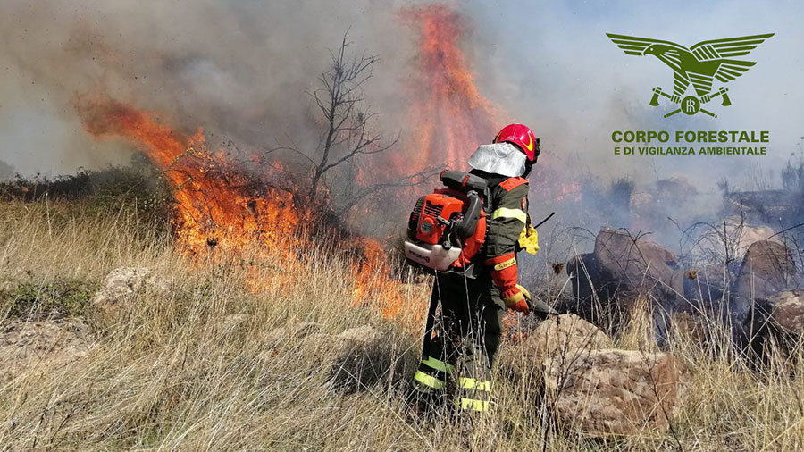Centro Sardegna in fiamme: incendi a Teti, Nule e Buddusò
