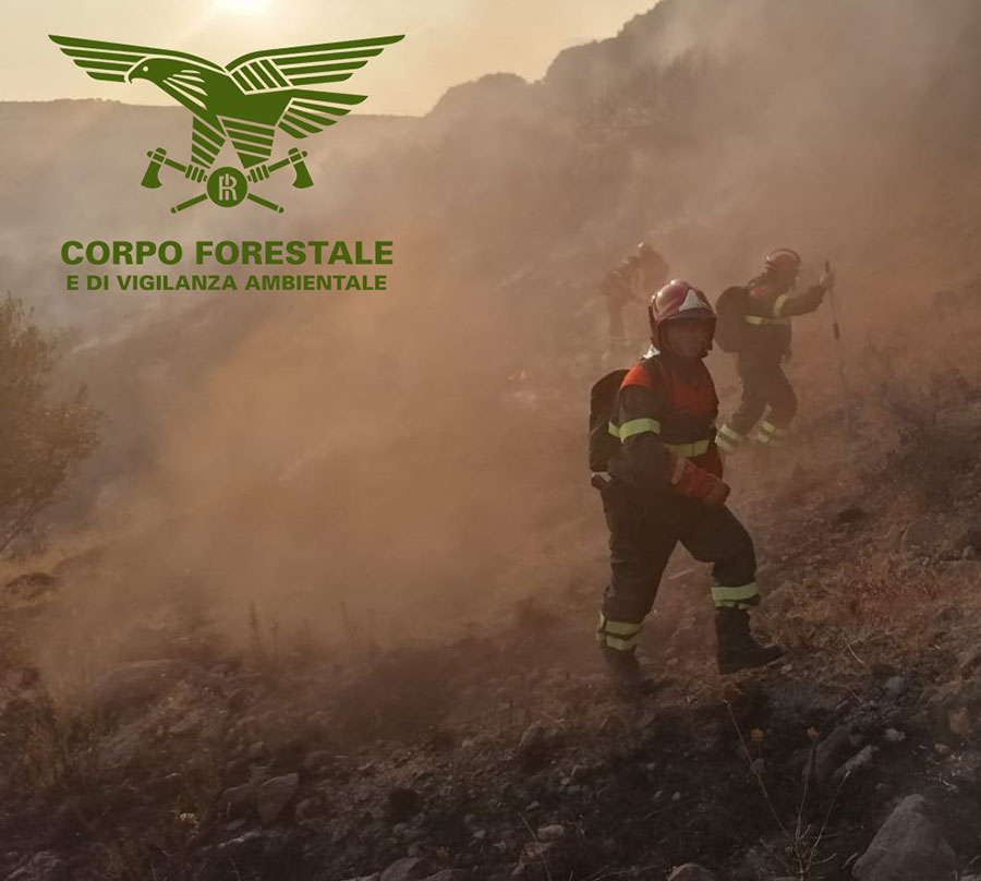 Sardegna in fiamme: bruciano le campagne tra Siniscola e Posada