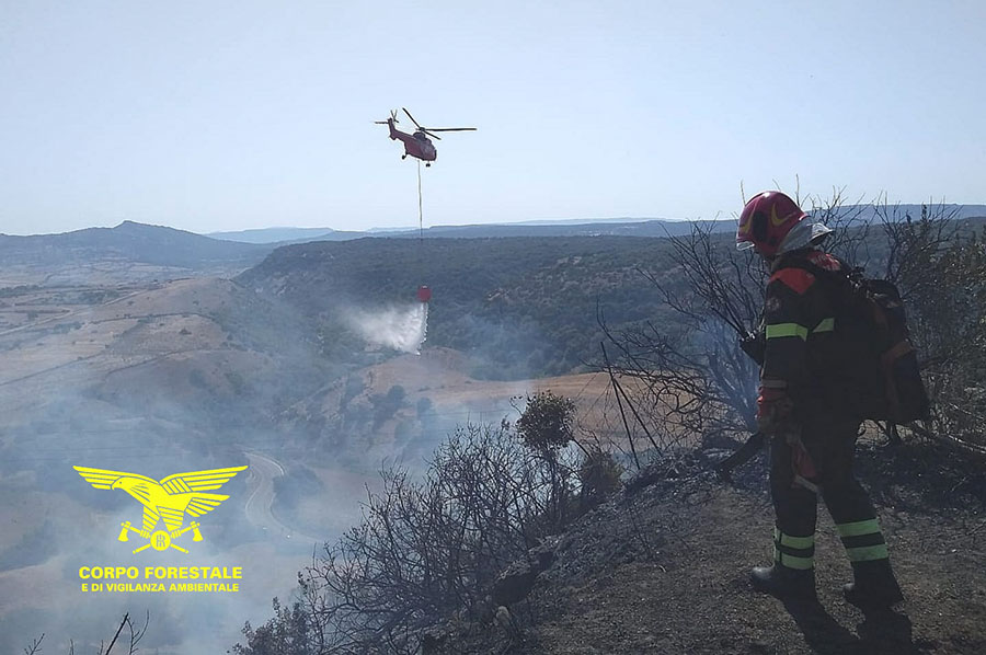 Oggi 10 roghi in Sardegna: 40 ettari di bosco e pascoli in cenere nel Nuorese