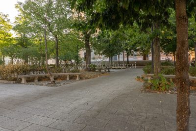 Nuoro, giardino della Cattedrale in abbandono (foto S.Novellu)