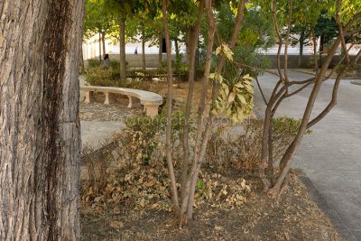 Nuoro, giardino della Cattedrale in abbandono (foto Cronache Nuoresi)