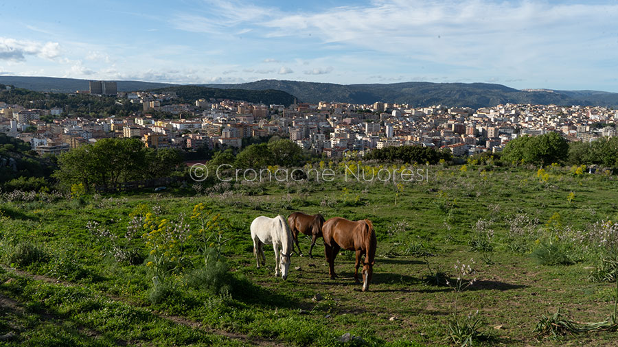 Nuoro. La città cambia volto: al via il progetto di riqualificazione “Fiume verde”