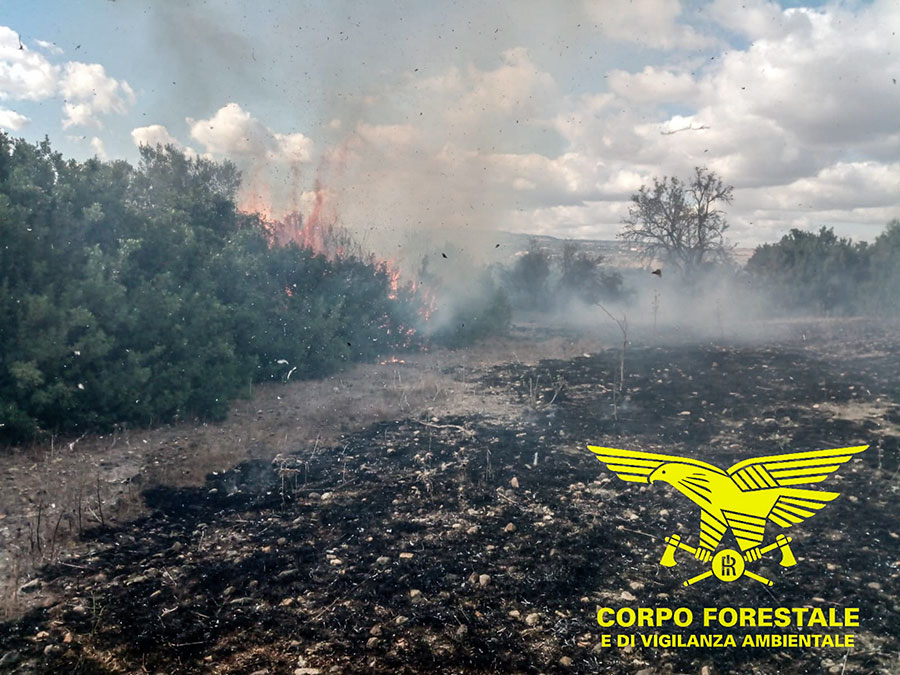 Non si placa l’azione dei piromani: bruciano le campagne di Loculi, Bonorva, Nurri e Furtei