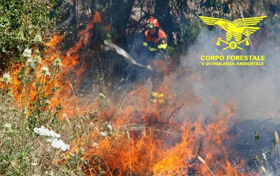 Arrestato dalla Forestale un piromane seriale: è accusato di aver appiccato nove incendi devastanti