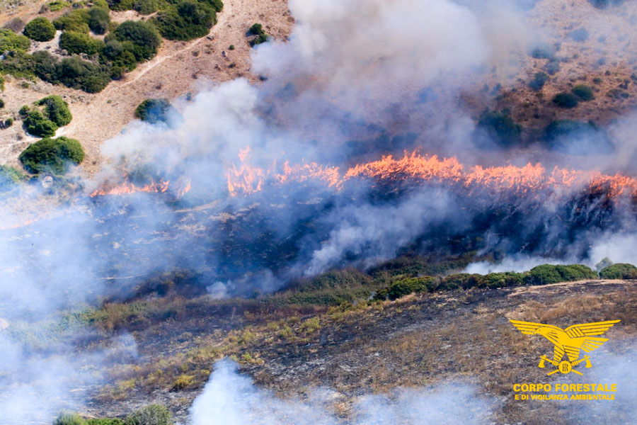 Incendio a Torpè dalle prime ore del mattino: interviene il canadair