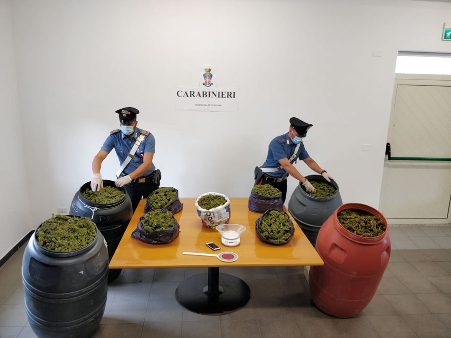 Maxi sequestro di marijuana nel Marghine: 55,36 chili nascosti nei bidoni