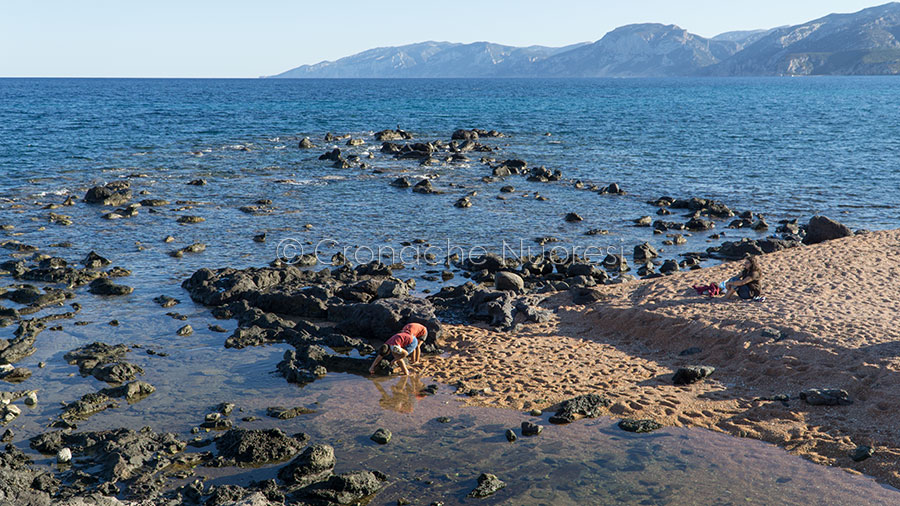 Dorgali. Nuovo divieto di balneazione a Cala Gonone per liquami confluiti a mare