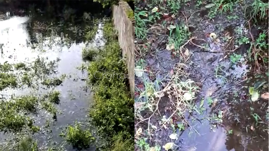 Borore. Dopo le piogge via Brotzu è una fogna a cielo aperto – VIDEO