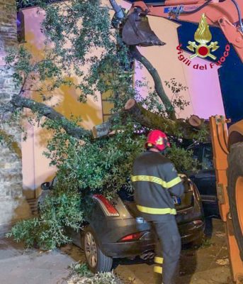 Un albero sradicato dal vento a Gadoni