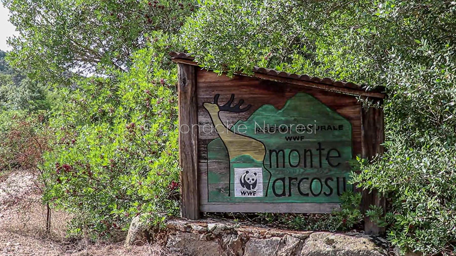 Oasi di Monte Arcosu: l’altra metà del cielo