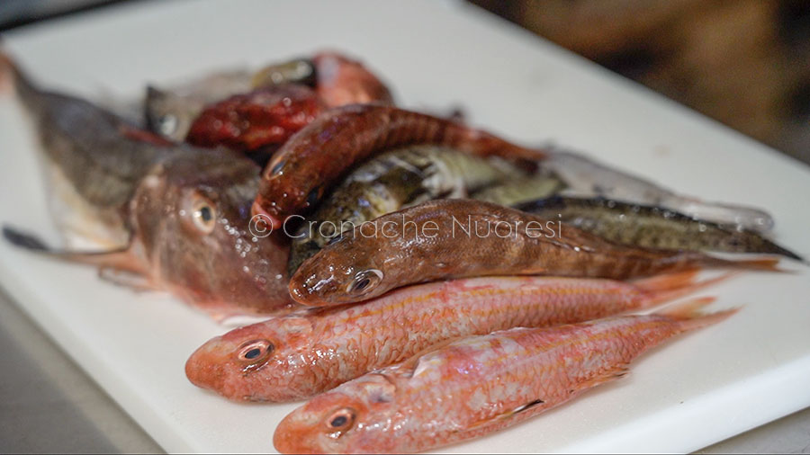 Una zuppa di pesce particolare: ce la racconta lo chef nuorese Gian Piero Satta