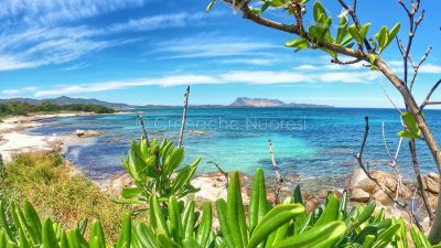 San Teodoro, la spiaggia di Cala d'Ambra (foto Cristian Mele)