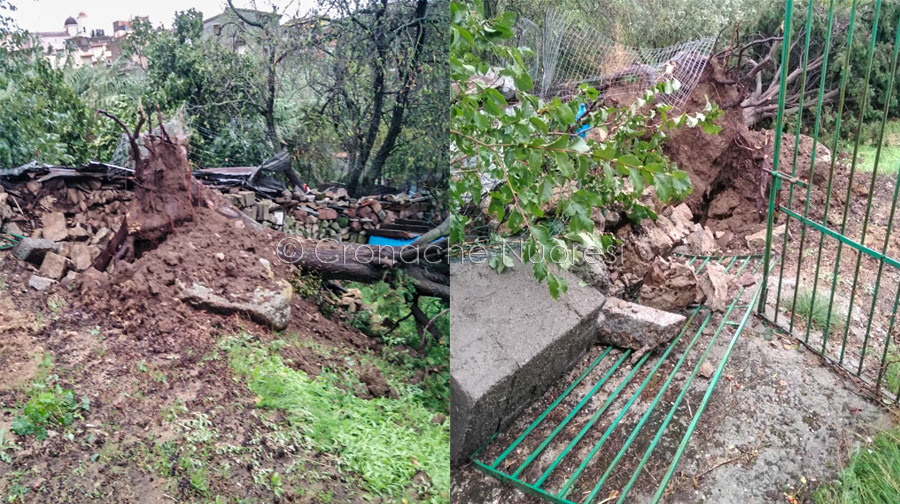Tromba d’aria su Oniferi: alberi e colture sradicati, infissi e tetti distrutte, danni al palazzo comunale