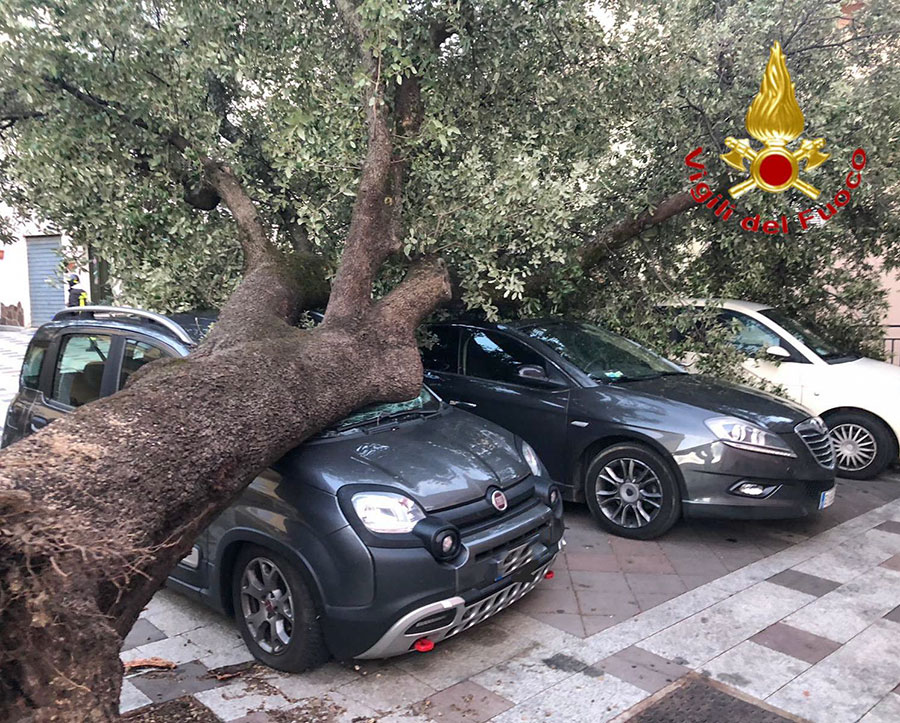 Maltempo. Nel Nuorese alberi sradicati, insegne, pali e canne fumarie danneggiati, auto distrutte