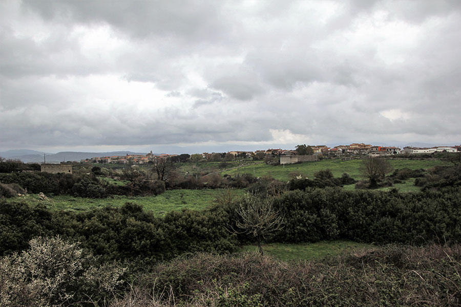 Sedilo. Crescono i positivi al Covid: in totale sono 50 di cui 4 ricoverati