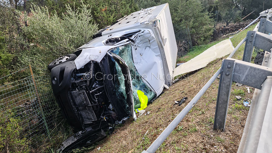 Paura a Orosei. Camion frigo vola fuori strada: illeso il conducente