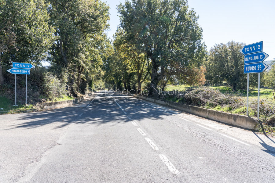 Fonni. Non si erano fermati a un posto di blocco e, inseguiti e scoperti, hanno aperto il fuoco contro i Carabinieri