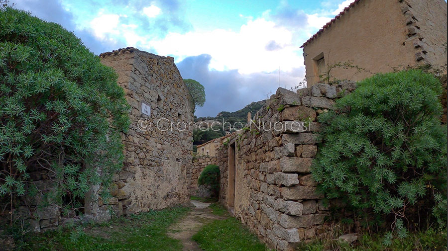 Lollove. Il borgo scrigno del tempo