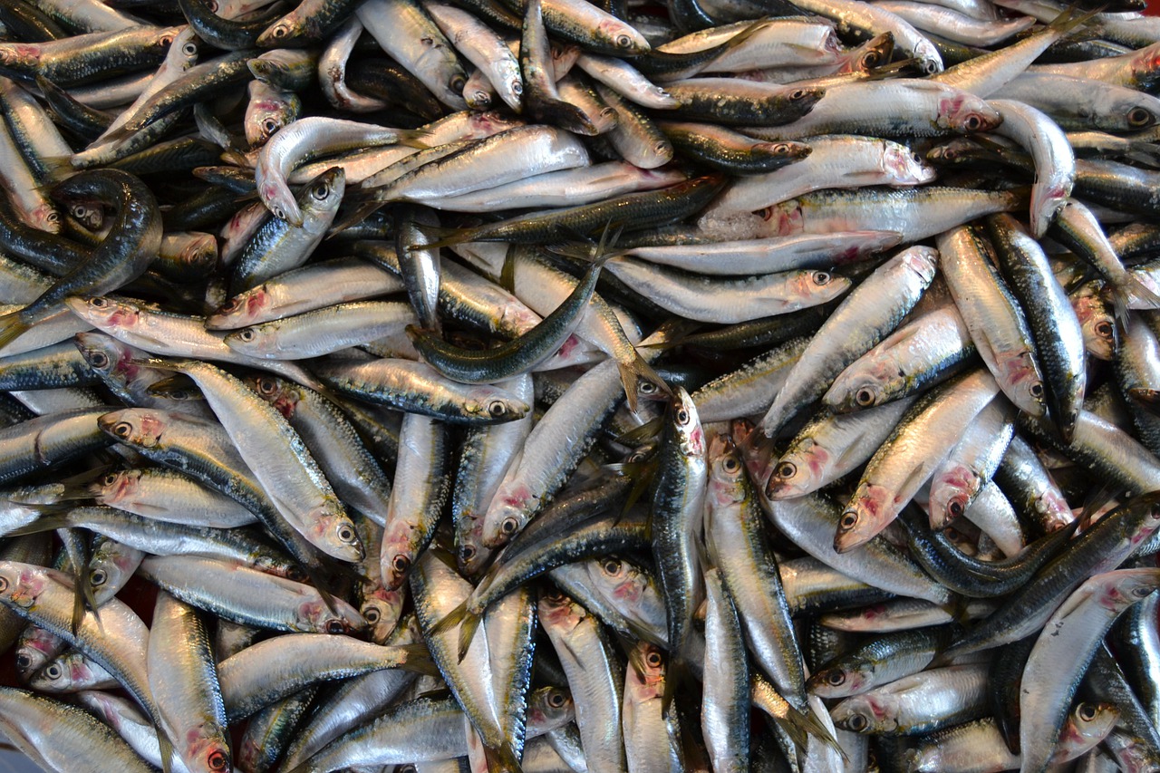 Sette positivi al Covid: da lunedì 12 chiuso mercato ittico all’ingrosso a Cagliari