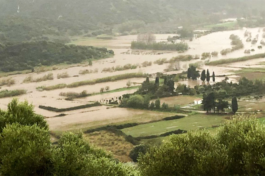 Maltempo. Coldiretti Nuoro Ogliastra: diversi allevatori isolati in campagna