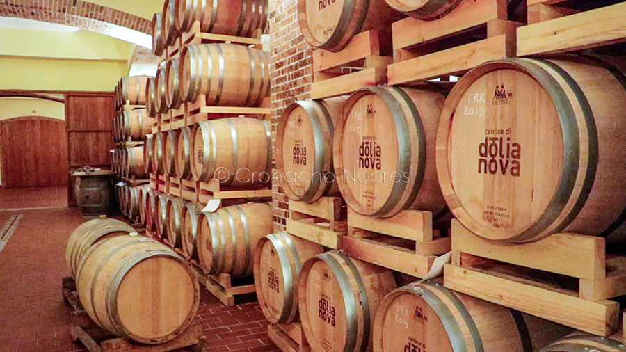 Dolianova. Idee e talento dentro un bicchiere di vino: quando la cantina valorizza un territorio