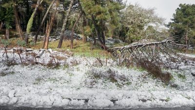 Il monte di Sant'Antonio nevicato (foto S.Novellu)