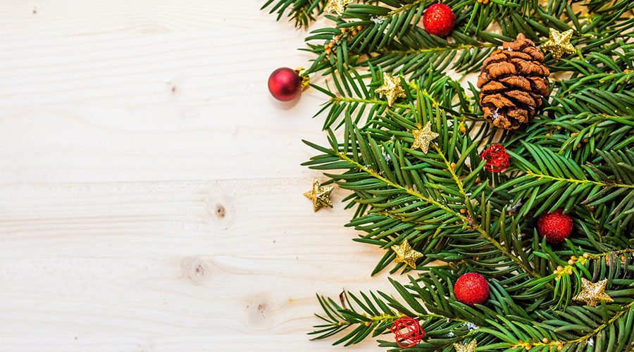 8 dicembre. L’albero di Natale naturale scelto da 3,5milioni di famiglie italiane
