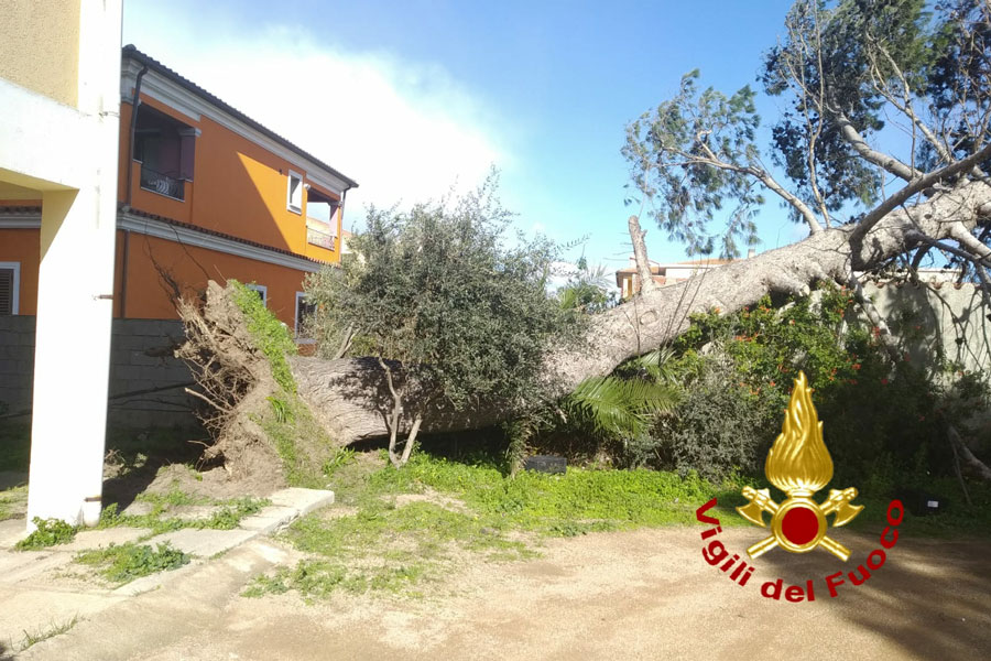 Forti raffiche di vento sferzano la Gallura