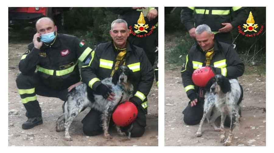 Cane da caccia si perde nella vallata di Oddoene: lo salvano i Vigili del fuoco