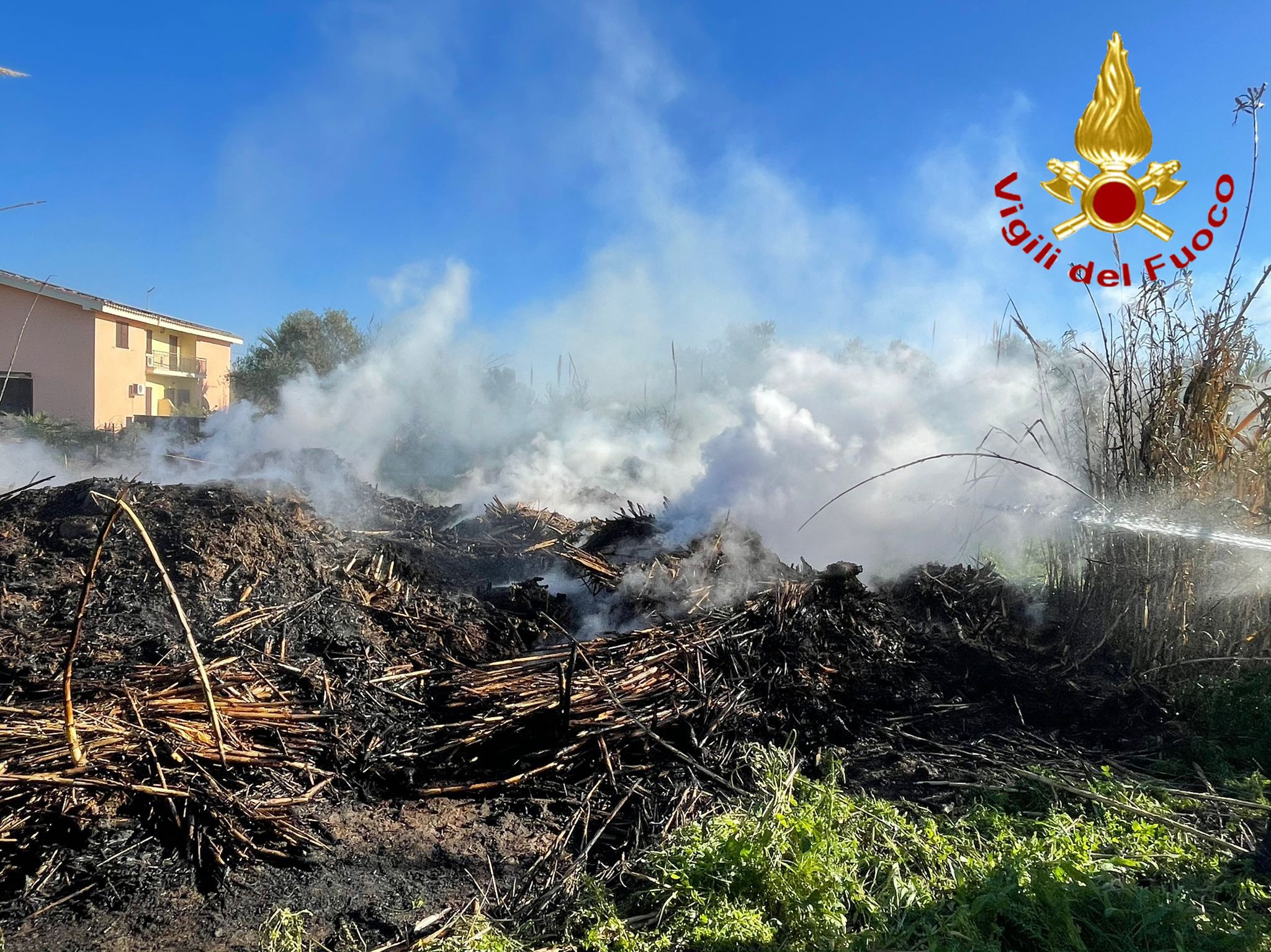 Paura per un canneto a fuoco: intervengono i Vigili del fuoco