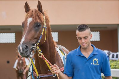 Un ritratto di Pietro Brocca col suo cavallo