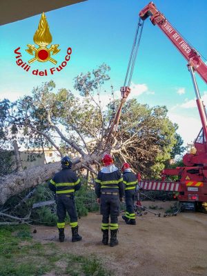 Rimozione dell'albero