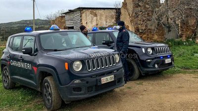 Un momento del blitz dei Carabinieri negli ovili del Sulcis
