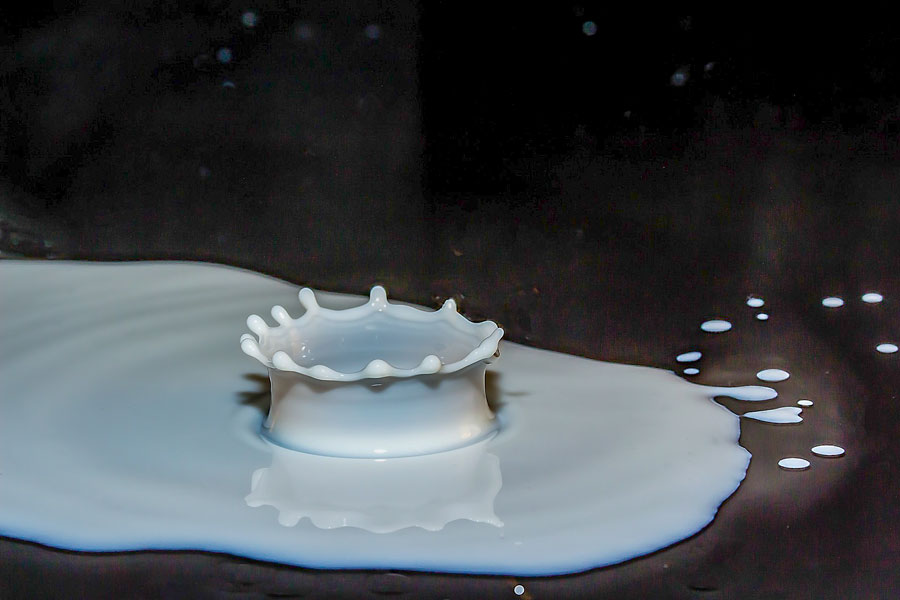 Oristano. Riparte il laboratorio di analisi del latte