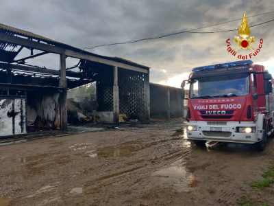 I Vigili del fuoco al lavoro nell'azienda agricola